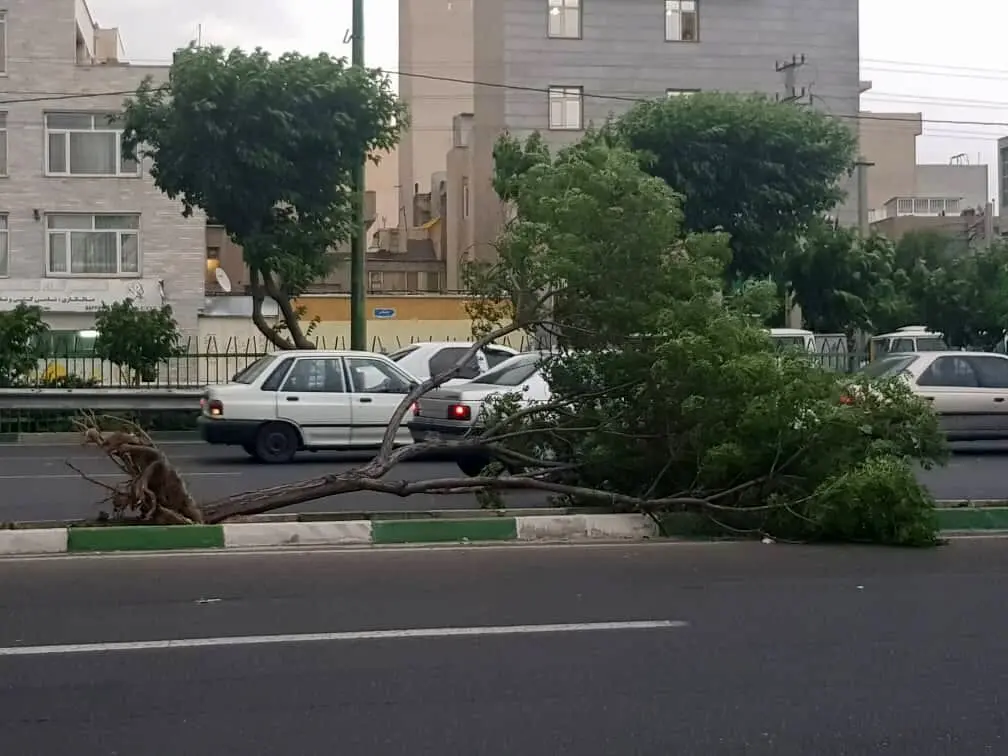 طوفان با سرعت به ۱۰۸ کیلومتر بر ساعت تهران را درنوردید
