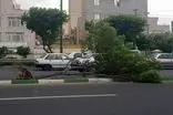 طوفان با سرعت به ۱۰۸ کیلومتر بر ساعت تهران را درنوردید
