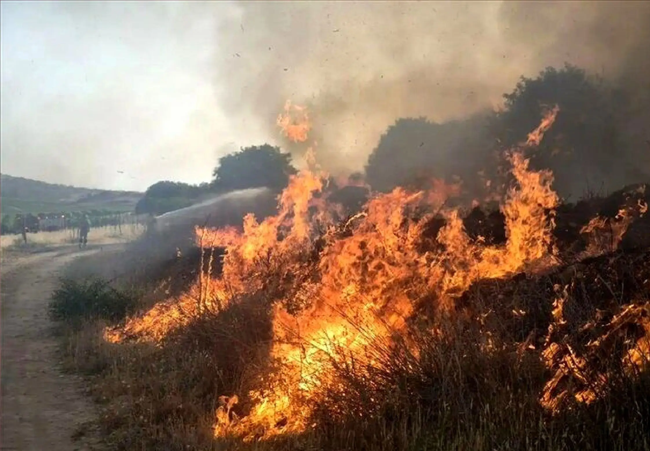 دود ناشی از آتش سوزی بخش عراقی هورالعظیم در خوزستان آلودگی ایجاد کرد 