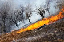 کاهش ٩۴ درصدی حریق در اراضی جنگلی
