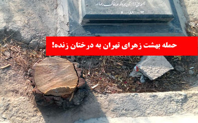 پدر «ابتکار» بی درخت شد! / بهشت زهرای تهران همچنان یاغی گری می کند!