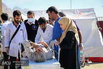  خدمات پزشکی و غیر پزشکی جراحان ارتوپدی به زلزله زدگان کرمانشاه