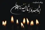 شورای توسعه فرهنگ قرآنی در پی درگذشت آیت‌الله حجتی پیام تسلیت داد