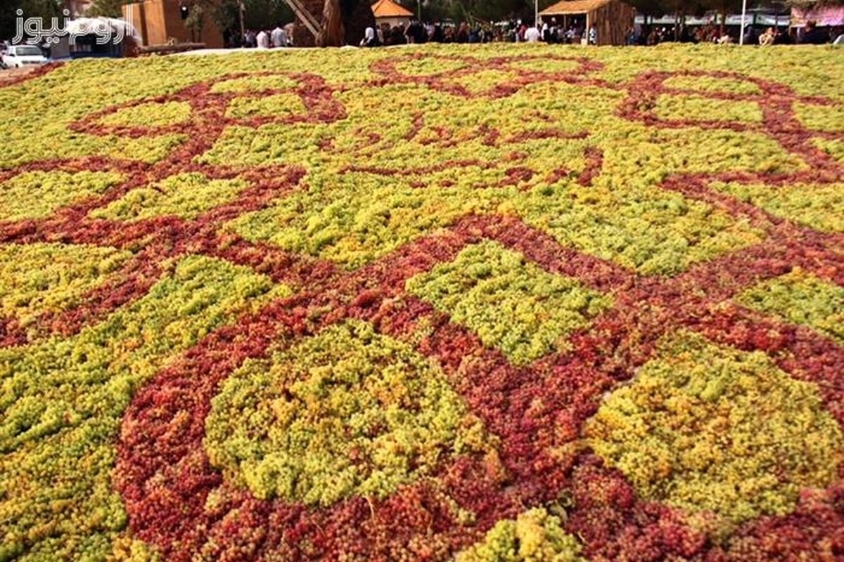 چهارمین جشنواره انگور ارومیه با هدف معرفی ظرفیتهای کشاورزی و صنایع تبدیلی آن برگزار می‌شود.
