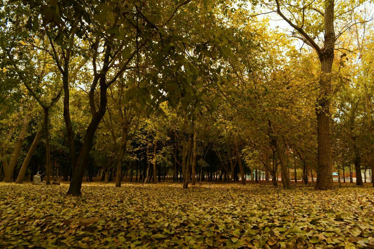 چهار طرح خدماتی و فرهنگی در ناژوان اصفهان به بهره برداری می رسد