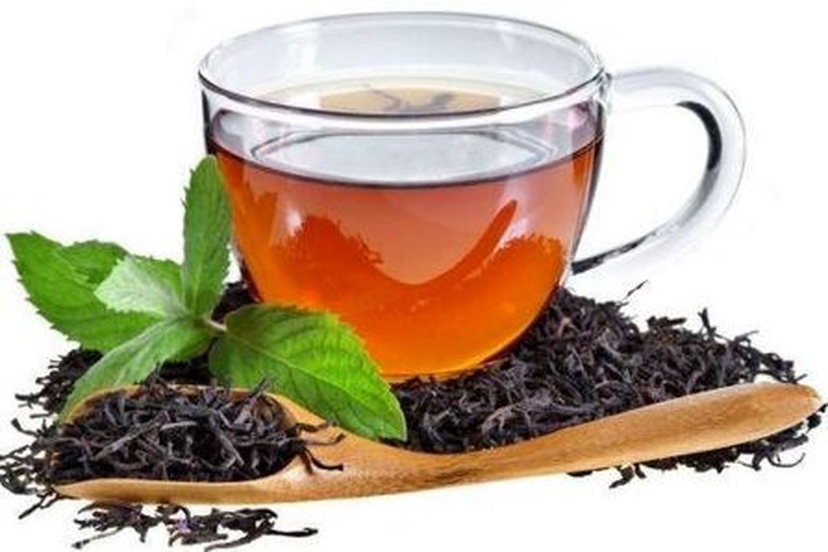 خرید ۸۸ هزار تن برگ سبز چای از چایکاران شمال 