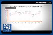 آمار خوب تولید و خرید تضمینی گندم در سال زراعی جدید + فیلم