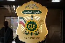 راه‌اندازی طرح «بتا» برای استرداد اموال مسروقه