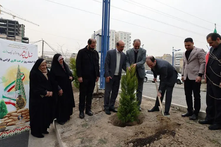 ۱۱۰ هزار اصله نهال در نیروگاه‌های حرارتی کشور کاسته و توزیع شد