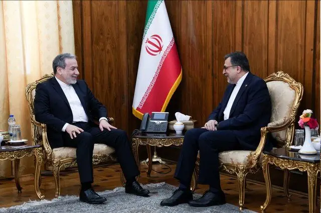 سازمان همکاری اسلامی باید نقش محوری در تحکیم همکاری‌ها علیه نسل‌کشی غزه ایفا کند