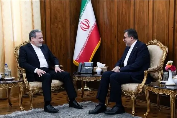 سازمان همکاری اسلامی باید نقش محوری در تحکیم همکاری‌ها علیه نسل‌کشی غزه ایفا کند