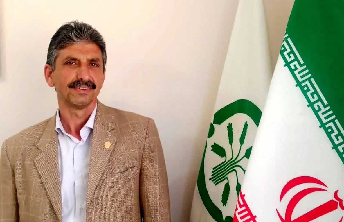 توزیع 867 تن کود ازت در استان ایلام طی تیرماه سال جاری
