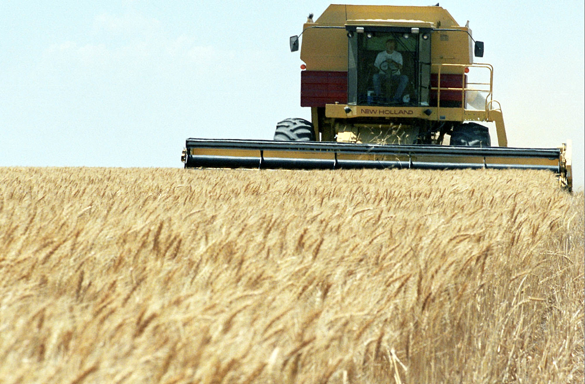 400 دستگاه کمباین در مزارع گندم مشغول فعالیت می باشند