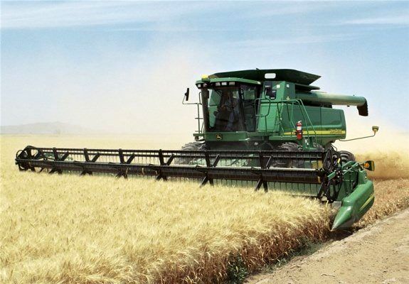 برداشت 12 هزار تن گندم از مزارع جوانرود طی سال جاری