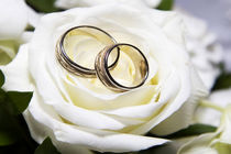 لزوم راه‌اندازی مراکز تخصصی مشاوره ازدواج در تمام استان‌های کشور