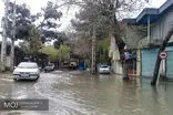 رگبار شدید باران، ساعتی پیش در رشت