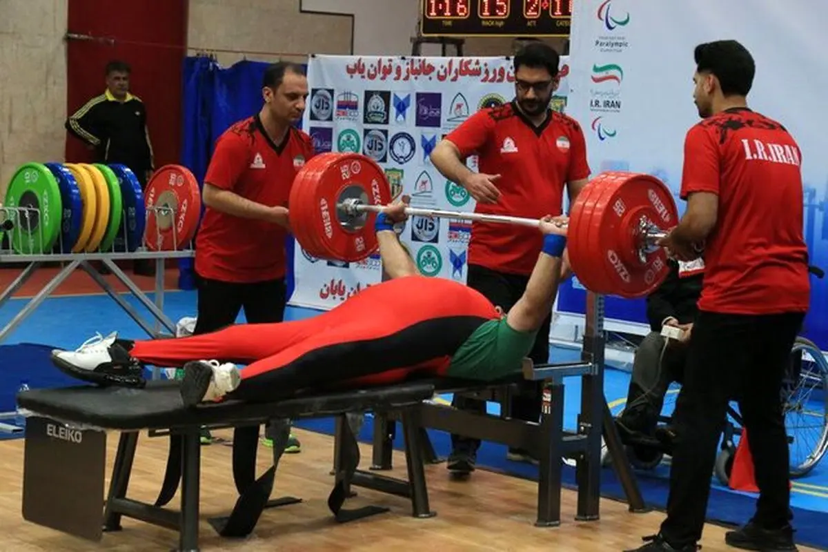 پاراوزنه برداری