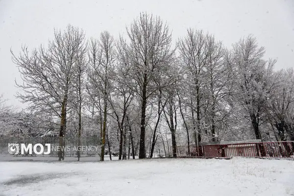 دوشنبه شب ارتفاعات پایتخت سفیدپوش می‌شود