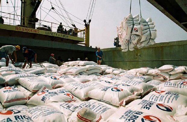 بازنگری در ممنوعیت فصلی واردات برنج در ماه های آتی