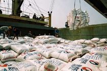 بازنگری در ممنوعیت فصلی واردات برنج در ماه های آتی
