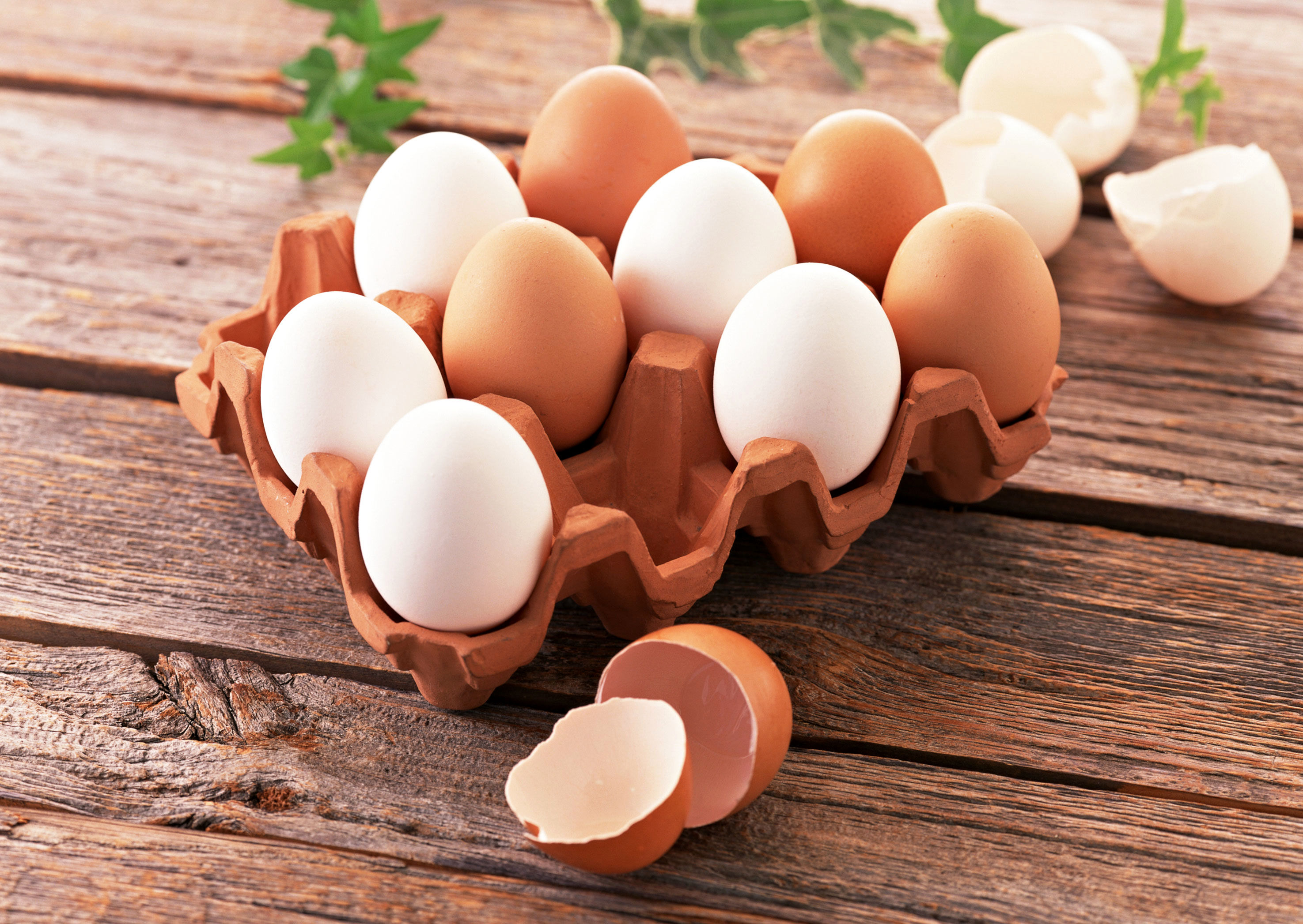قیمت تخم مرغ ۵۳.۷ درصد افزایش یافت