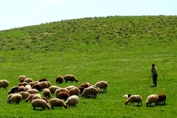  بیش از دو هکتار مرتع در شهرستان خلخال رفع تصرف شد 