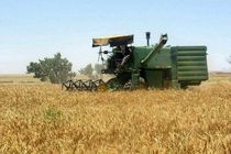 ۲۹۰ هزار هکتار از اراضی زراعی اردبیل به کشت گندم اختصاص یافته است