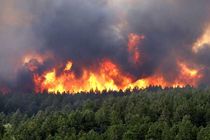 آتش سوزی جنگل روستای کهنه ده بخش کجور نوشهر مهار شد