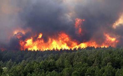 آتش سوزی جنگل روستای کهنه ده بخش کجور نوشهر مهار شد