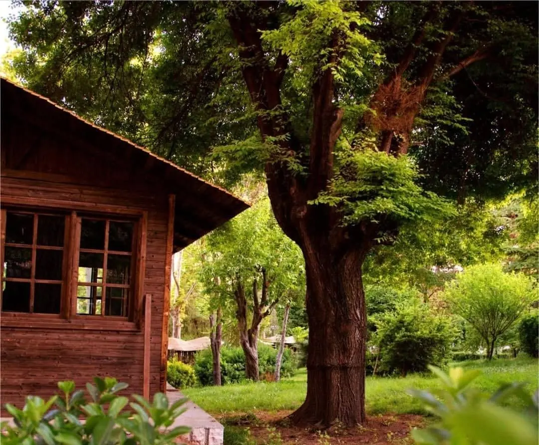 روایت مدیر مجموعه توریستی از موازی‌کاری اداری که نفس سرمایه گذار را گرفته است