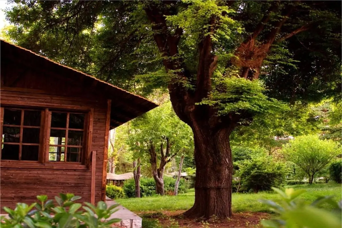 مجموعه توریستی