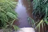 پرونده قضایی درباره آلودگی رودخانه قره‌سو تشکیل شده است