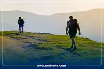 اینفوگرافیک/چندقدم در روز برای سلامتی واقعا لازم است؟