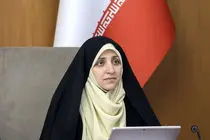 برنامه اقدام ملی کسب و کار خانگی زنان تدوین می‌شود