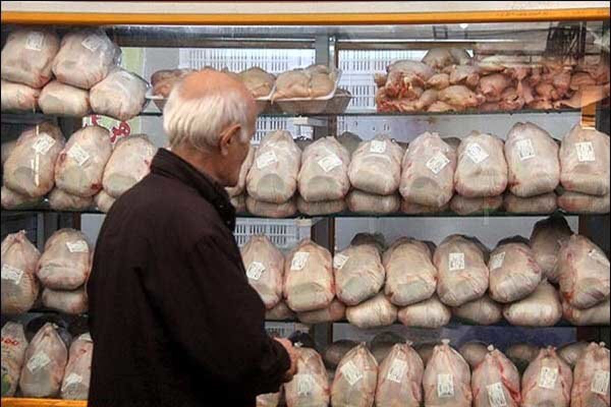 توزیع اینترنتی مرغ منجمد و تخم مرغ با قیمت مصوب آغاز شد
