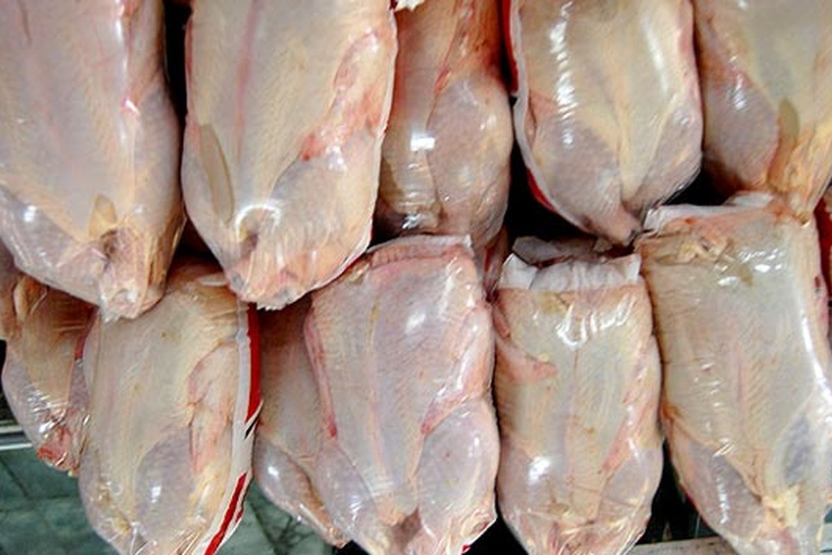 سه تن مرغ آلوده به باکتری سالمونلا در لرستان ضبط و معدوم شد