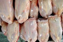 سه تن مرغ آلوده به باکتری سالمونلا در لرستان ضبط و معدوم شد