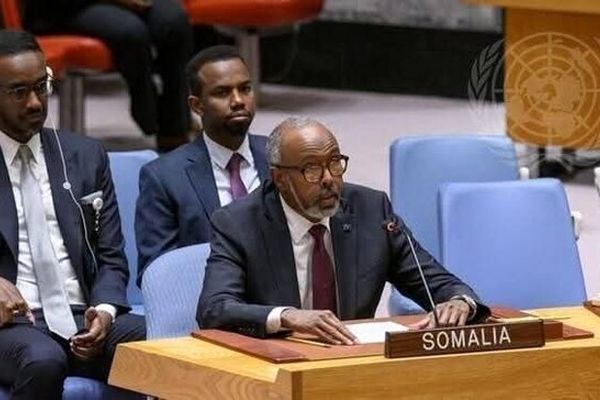 سومالی ژانویه ۲۰۲۶ رئیس شورای امنیت می‌شود