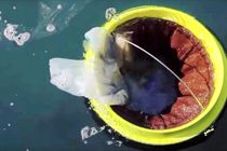 سطل زباله شناور چاره نجات اقیانوس های جهان می شود
