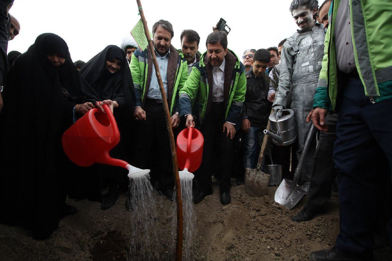 کاشت بیش از 360 هزار اصله درخت در شهر اصفهان از ابتدای سال تاکنون