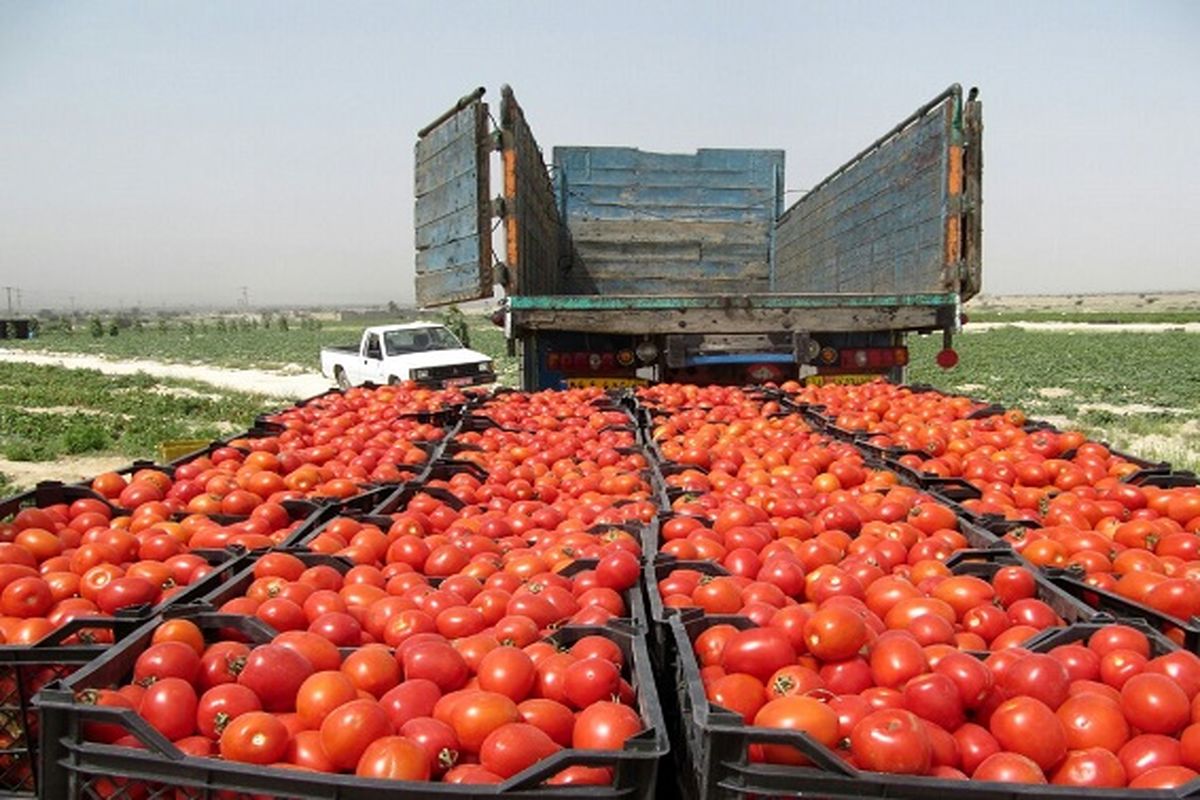 صادرات بیش از یک‌میلیون تن محصولات کشاورزی از کرمانشاه