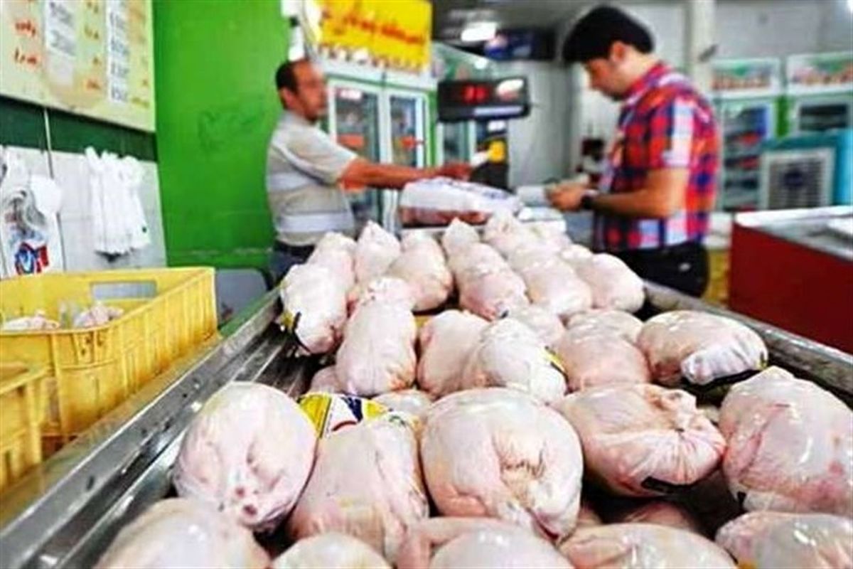 برخورد با متخلفان بازار گوشت مرغ در مازندران