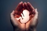جلوگیری از سقط ۴۰۵ جنین سالم به همت مرکز مردمی «نفس» در فارس 