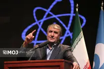 توافق شود، بازرسان آمریکایی را هم از طریق آژانس می‌پذیریم