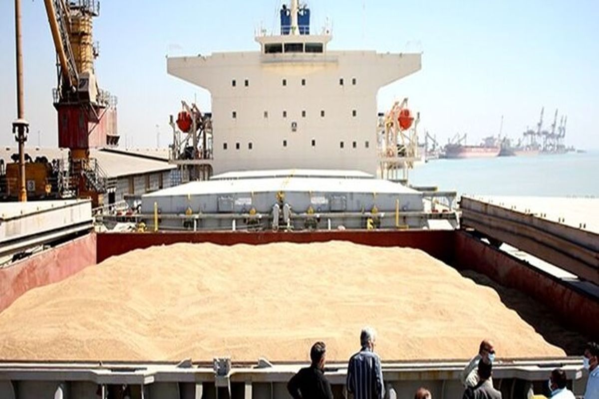 تخلیه نزدیک به ۴۰۰ هزار تن گندم در اولین ماه سال