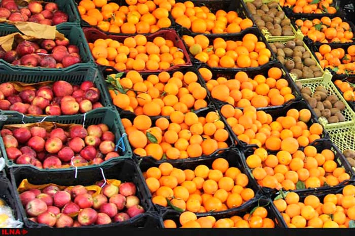 عرضه 40 هزار تن پرتقال و 30 هزار تن سیب در میدان های میوه و تره بار