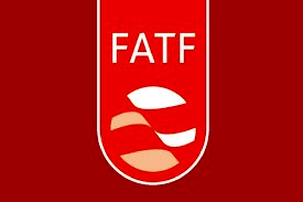 از تصمیم FATF راضی نیستیم ولی آن را گامی رو به جلو می دانیم