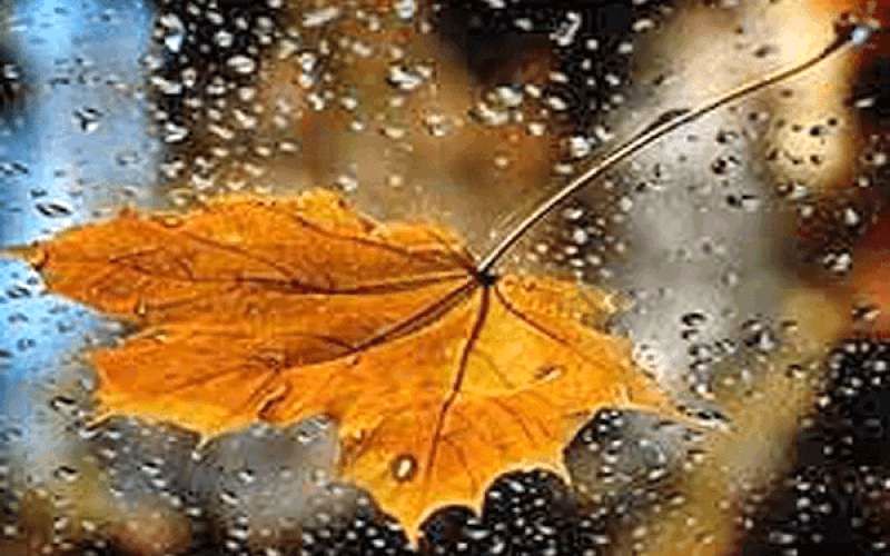 هشدار نارنجی باران و سرما تا آخر هفته در کرمانشاه