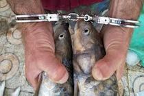 دستگیری یک متخلف صید ماهی در منطقه شکار ممنوع ونک سمیرم
