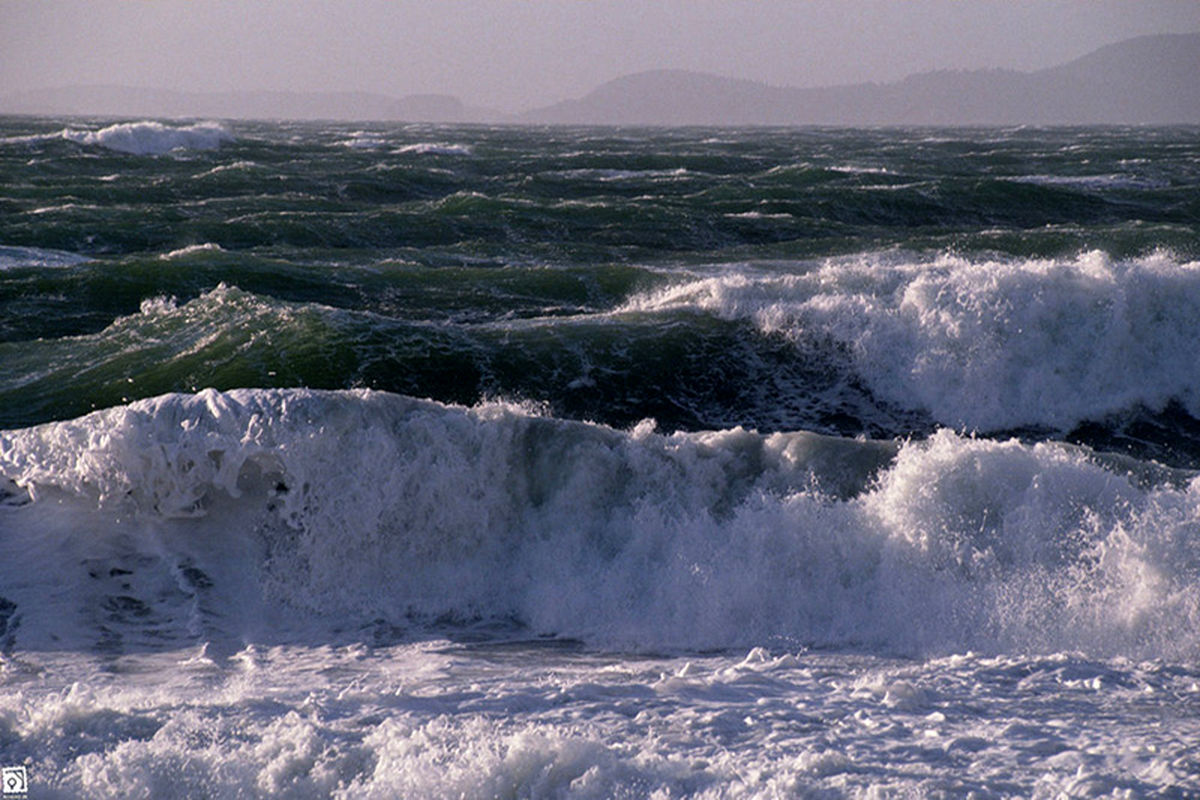 سرعت باد در خلیج فارس به بیش از 45 کیلومتر در ساعت می رسد